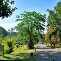 Private Tour: Full Day Center Penang Island Tour Private Tour: Full Day Center Penang Island Tour